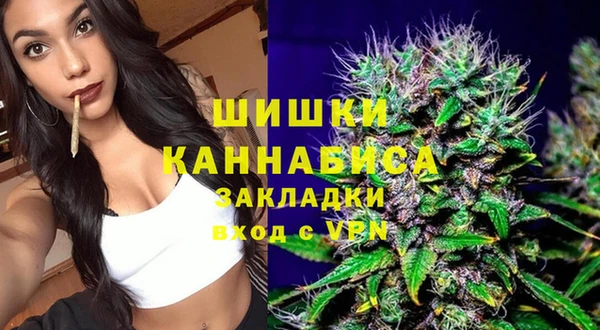 соль ск Арсеньев