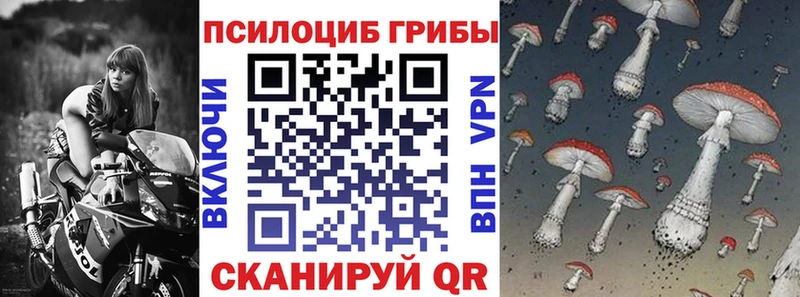 Галлюциногенные грибы ЛСД  продажа наркотиков  дарк нет официальный сайт  Балтийск 